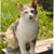 Annie Moore's profile image