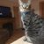Bernadine Fintel Kohrs's profile image