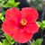 Susan Taylor's profile image