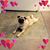 Lisa Reymond Mark's profile image