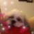 Lynne Unitas's profile image