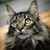 Kimberly Peterson Wright's profile image