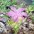 Lynne Hatter's profile image