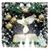 Sara Rosas's profile image