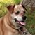 Mike Godleski's profile image