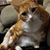 McGee Cat's profile image