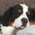 Michael Walsh's profile image