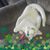 Naomi J DeBiase's profile image