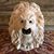 Patrick Redbeard's profile image