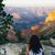 Allie Shanoff's profile image
