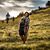 Vanessa Sayers's profile image