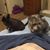 Deb Milnes's profile image