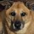 Susan Kempler Kapp's profile image