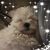 Teresa Loyola's profile image