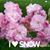 Darlene Haley DePhillip's profile image
