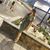 Falisha Steplight's profile image