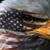 Kasey Kennedy Mitchell's profile image