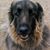 Pat Calloway's profile image