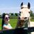 Kelsey Lynn Childress's profile image