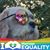 Martin Smith's profile image