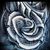 Sobeida Marquez's profile image
