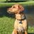 Trudi Stricker Barr's profile image