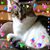 Jennifer Isaacs's profile image