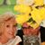 Kathleen A. Nudelbacher's profile image