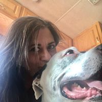 Michelle Pope's profile image