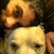 Gary Paugh's profile image