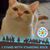 Peter Cardella's profile image