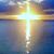 Cheri Cimarello Decker's profile image