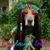 Dan Herbst's profile image