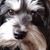 Mitzi Fordyce's profile image