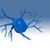 Colleen Meegan's profile image