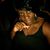 Monique Branch's profile image