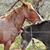 Dawn Roll Bailey's profile image