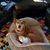 Casey Leigh Rye's profile image