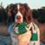 Steven Donnelly's profile image