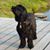 Janet Eick McEntyre's profile image