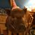 Fish Schneider's profile image