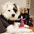 Dawn Oxnard's profile image