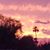 Steve N Deb Wells's profile image