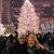 Lucia B. Lamb's profile image
