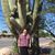 Kaye Lamb's profile image