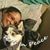 Danielle Nichols-moralez's profile image