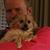 Michael Randolph's profile image