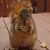 Jamie Corlett's profile image