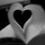 Danielle Galasso Barbone's profile image
