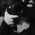 Eszter Molnár's profile image